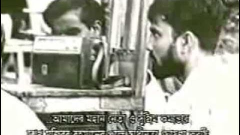 Declaration of Independence by Zia