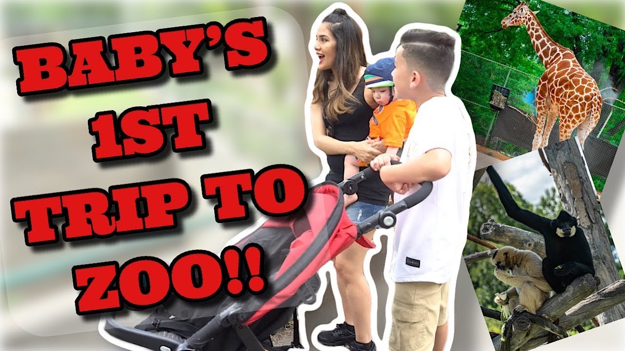 BABY'S FIRST TIME AT THE ZOO | GLAMOUR FAMILY
