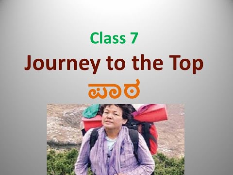 Cclaire.bbearxo: The Journey To The Top