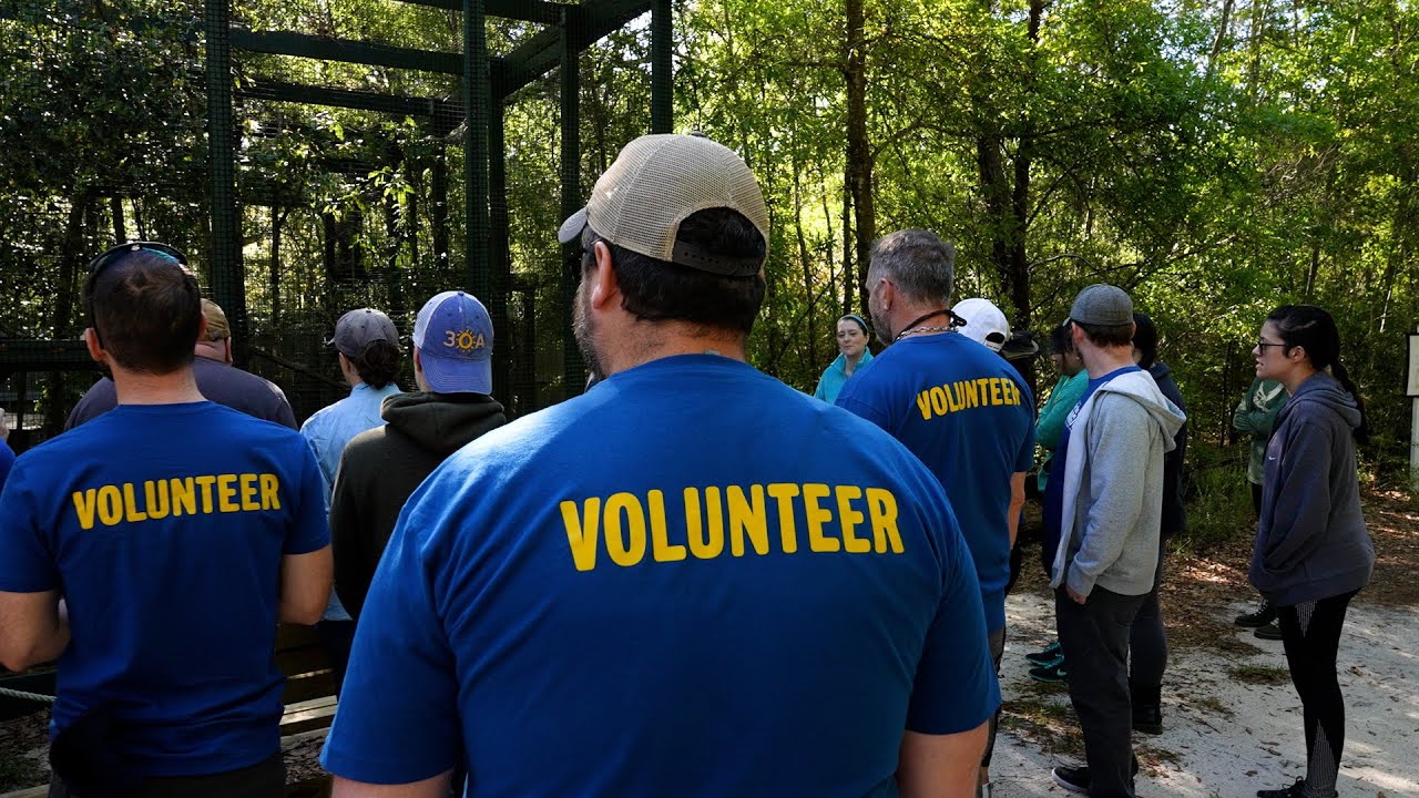 Be the Magic Foundation - 2022 Year in Review