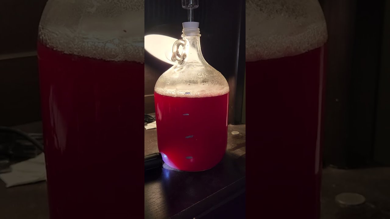 Update on Cranberry Rasbery wine.