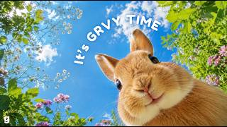 Playlist | Soft Vibes 🐰 Just Nibbling Slowly | Groove Pop screenshot 4