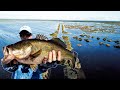 Headwaters Lake Bass Fishing for Giants!