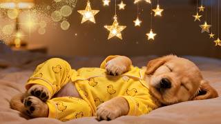 Pet Relaxation Music 💤 3 Hours of  Dog Sleep Sounds | Anxiety Relief & Peaceful Sleep screenshot 1