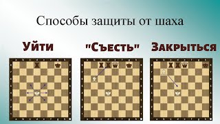 Три способа защиты от шаха. Как правильно защититься от шаха?