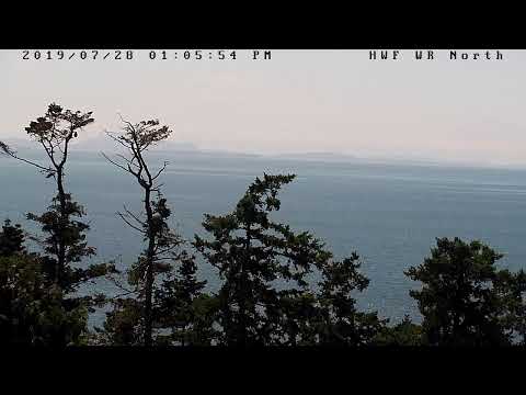 bald eagles in illinois Hancock Wildlife Foundation Live Stream