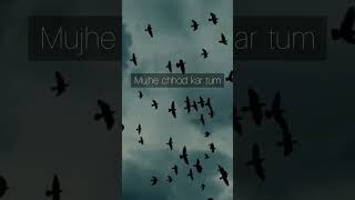 Chale Jao Jab Mujhe Chhod Ke...