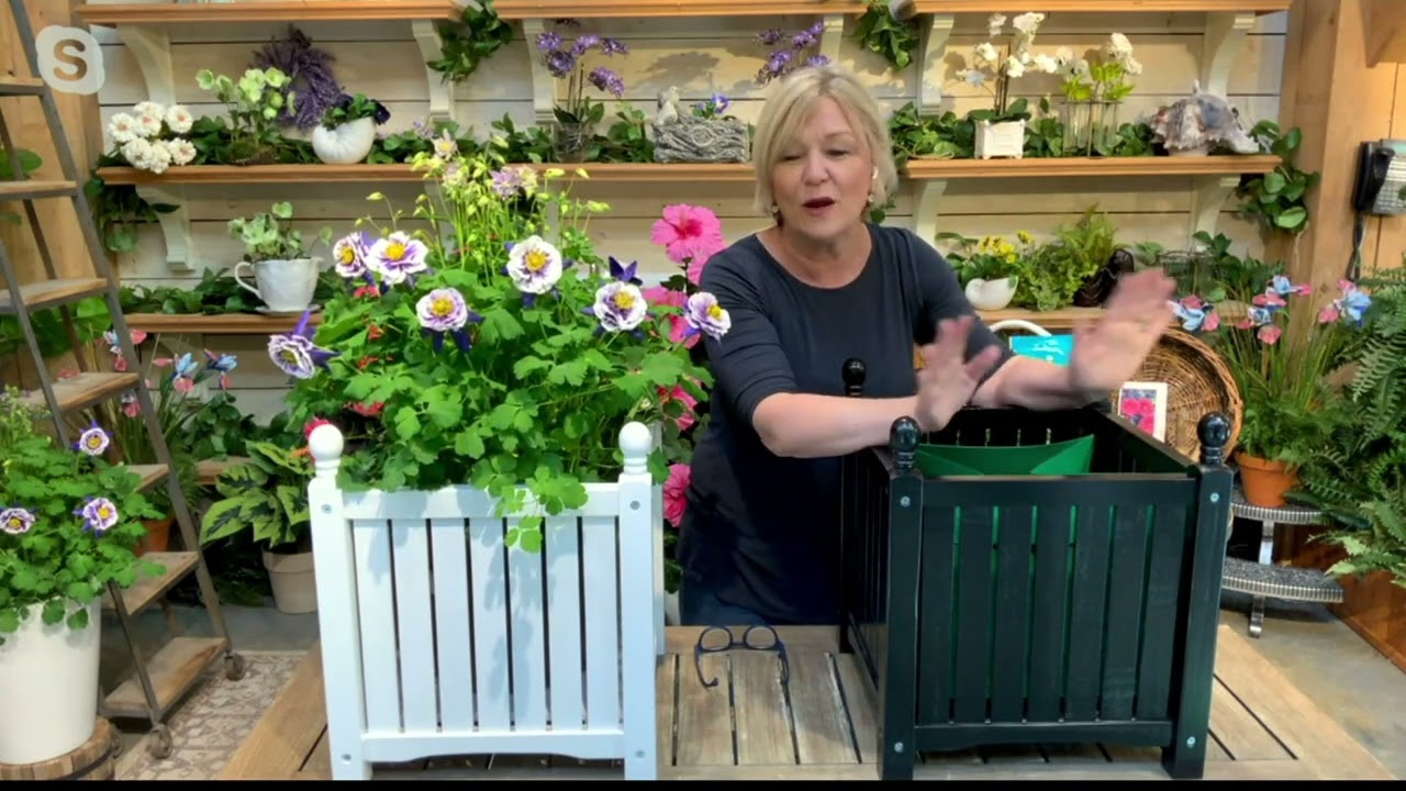 Barbara King 18" Square Planter with Fabric Liner on QVC