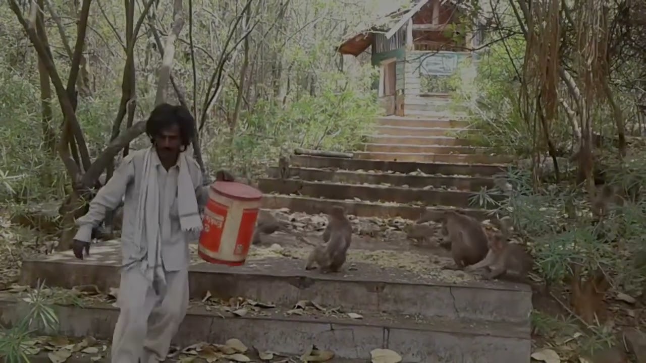  VANARA SEVE 9  Janardan murthy VANARA SEVE GURU POURNAMI VANARA SEVE