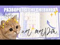 🌸ОФОРМЛЕНИЕ ЕЖЕДНЕВНИКА НА МАРТ🌸| Планирование разворотов на январь Как я веду ежедневник 2024