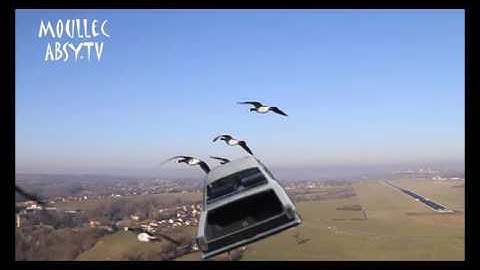 Dayz cars have a few bugs to still fix