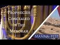 Prophecies Concealed in the Menorah | Episode 839