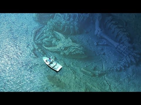 पानी-के-अंदर-मिली-5-रहस्यमयी-चीज़े-|-5-bizarre-things-found-underwater