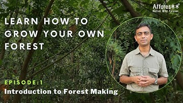 Ch:1 | Introduction to Forest Creation Series | Forest Creation Tutorials | English