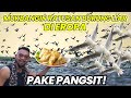 MUKBANGIN RATUSAN BURUNG LIAR DI EROPA PAKE PANGSIT! #AudreyA #burung #belanda