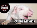 Domuzla Pazarlık Olmaz  I  Minecraft Singleplay  #6