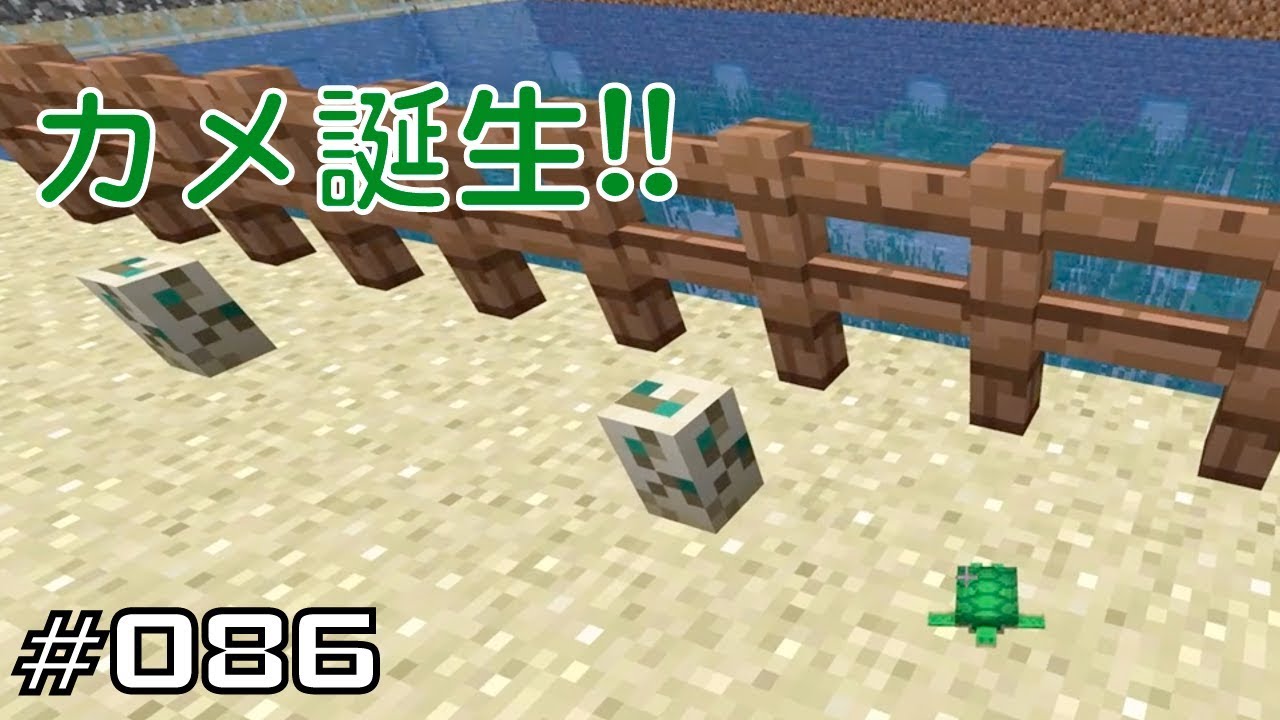 マイクラプレイ日記 086 カメ誕生 Java版1 13 Minecraft Labo