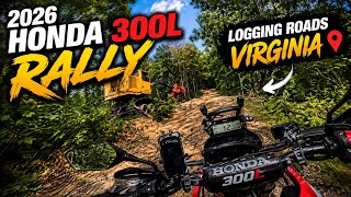 استكشاف طرق قطع الأشجار | 2026 Honda 300l rally screenshot 5