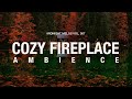 Cozy fireplace ambience in 4k