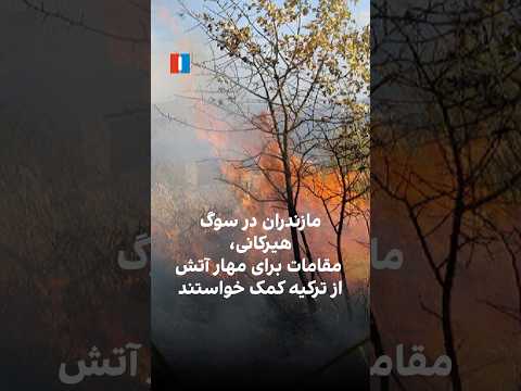 مازندران در سوگ هیرکانی مقامات برای مهار آتش از ترکیه کمک خواستند