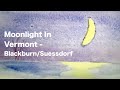 Moonlight in vermont  blackburnsuessdorf cover by chris luther