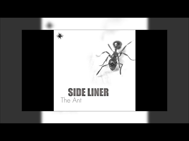 Side Liner - The Ant