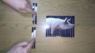 Amazing Shredding A Photo Science Experiments Compilation