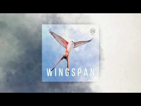 Video: Den Fredfyldte Strategi Af Wingspan, Et Spil Om At Tiltrække Fugle