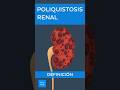 Poliquistosis renal: Definición | Kenhub #poliquistosisrenal