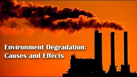 Environment Degradation Causes and Effects