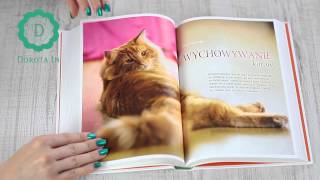 „Koty” Renate Jones 🐈🐈🐈 recenzja 📚 | Dorota Kamińska screenshot 5