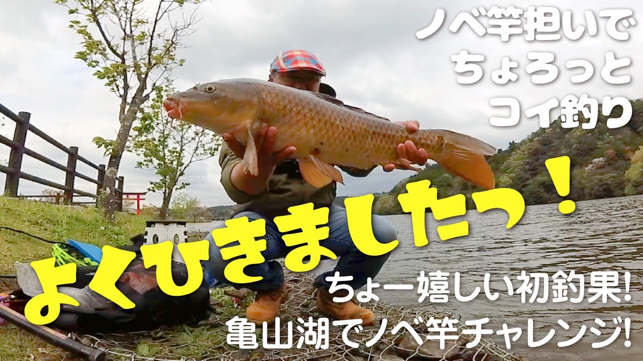 のべ竿担いで ちょろっとコイ釣り 亀山湖でノベ竿チャレンジ Youtube のべ竿担いで ちょろっとコイ釣り 亀山湖でノベ竿チャレンジ Youtube