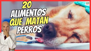 20 FOODS THAT CAN KILL YOUR DOG  (DEADLY FOR ADULT DOGS AND PUPPIES)