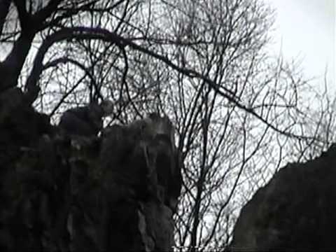jim gets thrown off cliff and lives