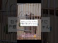 塩対応のアレクサに戸惑うヨウムのずぅちゃん