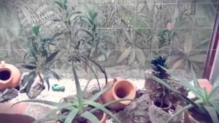 Bienvenidos A Servi-Repaciones De Colombia Created With