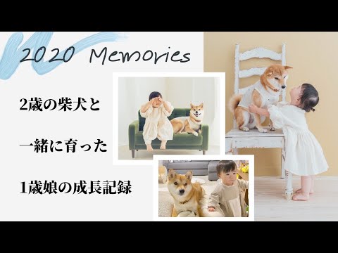 2歳の柴犬と共に育った1歳娘の成長記録