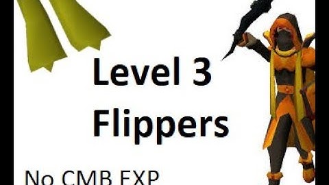 Level 3 / No Combat Exp Flippers Guide