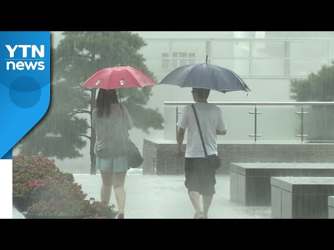 [날씨] 광복절·말복, 중부 막바지 장맛비...많은 곳 200mm↑ / YTN