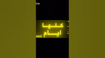 مساء الشطة كلها ايام وتلبس الشنطة 