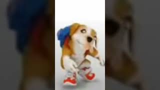 Video thumbnail of "chacarron dog #chacaron #dog #chacarondog"