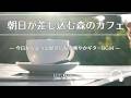 Natural Sonic「朝日が差し込む森のカフェ」 - 今日がちょっと好きになる爽やかギターBGM -