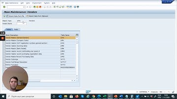 Mass update a master data object with different values