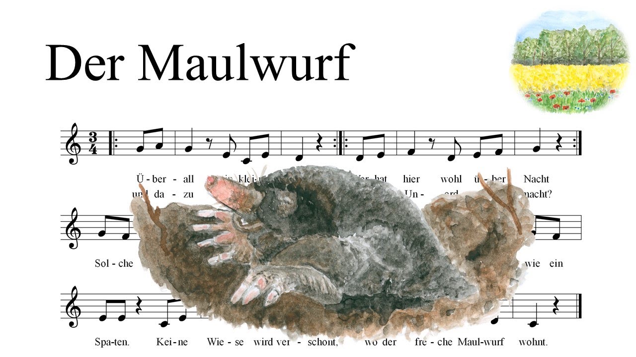 Wann Wurde Die Ballade Der Maulwurf Muss Weg Geschrieben www.youtube.com