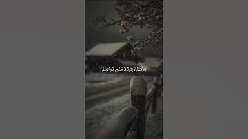 🍁🤍جمال وهدوء التلاوة الخاشعة للقرآن الكريم بصوت القارئ اسلام صبحي🍁 #quran #القرآن_الكريم #اسلام_صبحي