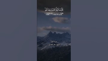 القارئ الشيخ سعد الغامدي