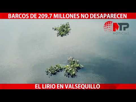 Barcos de 209.7 millones no desaparecen el lirio en #Valsequillo