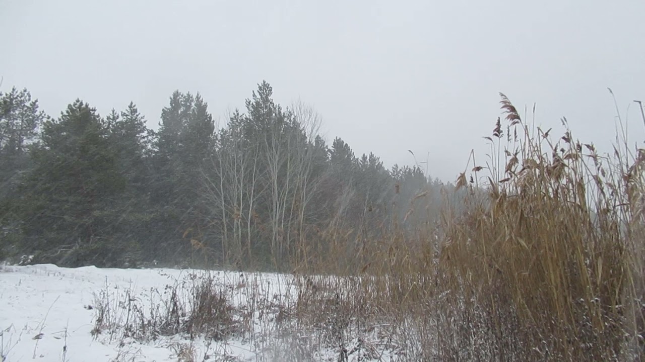 Виктор Безгодков. Время, когда река еще не замерзла. - YouTube