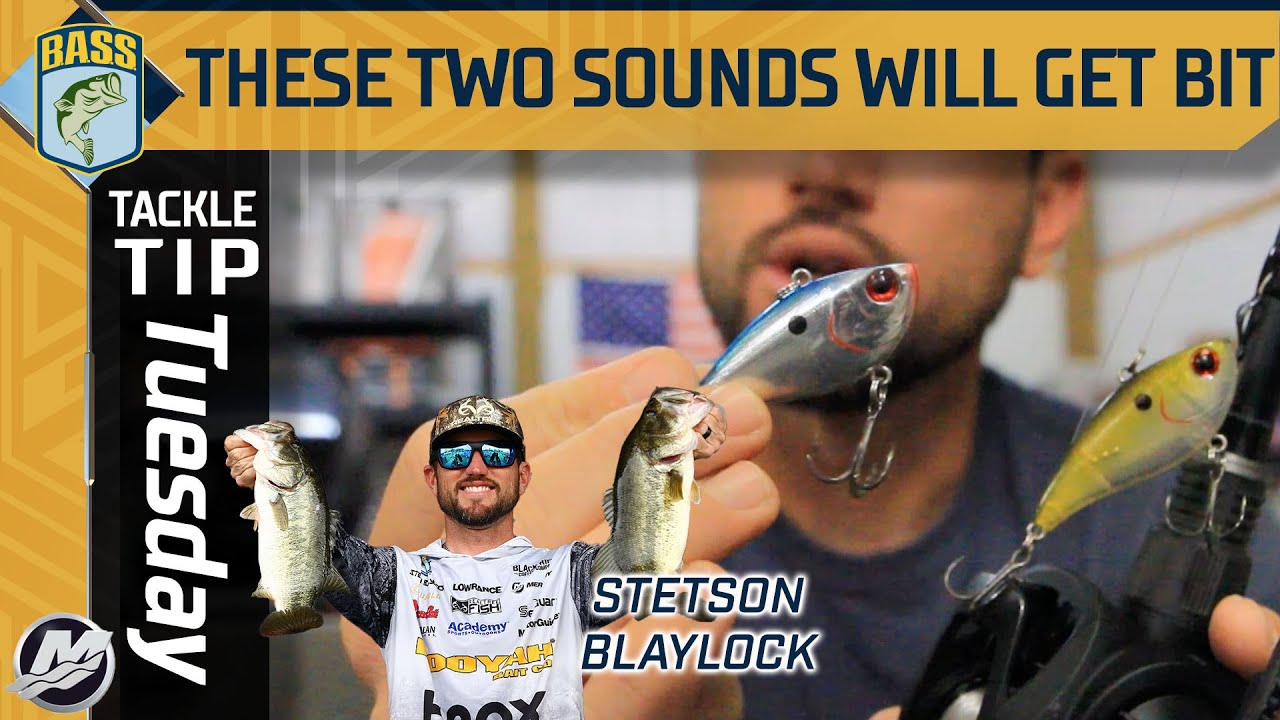 Catch more fish feeding on baitfish in the Fall with this trusted lure