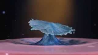 The Slow Mo Guys in REVERSE #3 / Droplet Collisions, Front Flips and Back Flips